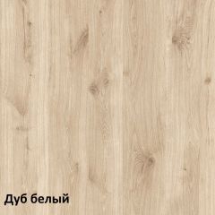 Эйп Шкаф для одежды 13.334 в Перми - perm.mebel24.online | фото 5