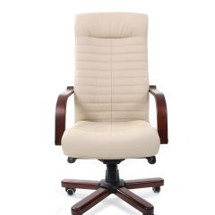 Кресло для руководителя CHAIRMAN 480 N WD (Экокожа) в Перми - perm.mebel24.online | фото 2