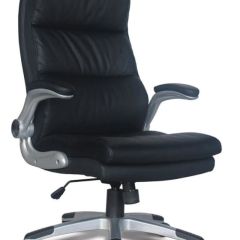 Кресло офисное BRABIX "Fregat EX-510" (рециклированная кожа, черное) 530863 в Перми - perm.mebel24.online | фото 1