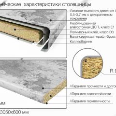 Кухонный фартук со столешницей (А-01) в едином стиле (3050 мм) в Перми - perm.mebel24.online | фото 6