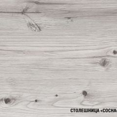 Кухонный гарнитур Сиена мега 2500 мм в Перми - perm.mebel24.online | фото 8