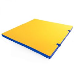 Мат гимнастический 1х1х0,05м с вырезом под стойки цв. синий-желтый в Перми - perm.mebel24.online | фото 1