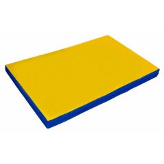 Мат гимнастический 2х1х0,1м цв. синий-желтый в Перми - perm.mebel24.online | фото