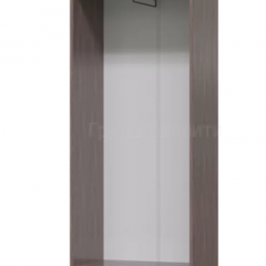 ДОМИНО Прихожая Шкаф для одежды (Бодега темный/светлый) в Перми - perm.mebel24.online | фото 2