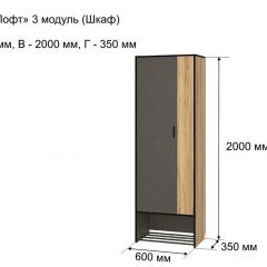 ОЛЬГА-ЛОФТ 3 Шкаф 2-х створчатый в Перми - perm.mebel24.online | фото 4