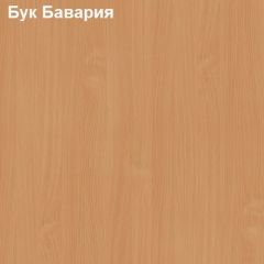 Шкаф для документов узкий закрытый Логика Л-10.2 в Перми - perm.mebel24.online | фото 2