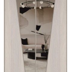 Шкаф-купе 1500 серии SILVER S1+S1+B2+PL2 (2 ящика+1 штанга+1 полка) профиль «Серебро» в Перми - perm.mebel24.online | фото 12