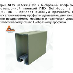 Шкаф-купе 2150 серии NEW CLASSIC K6Z+K1+K6+B22+PL2(по 2 ящика лев/прав+1 штанга+1 полка) профиль «Капучино» в Перми - perm.mebel24.online | фото 17