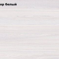 АЛЬЯНС 15 Шкаф-купе Альянс + комплект зеркал №1 в Перми - perm.mebel24.online | фото 4