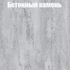 Шкаф-купе Бассо 1.0 (Дуб Крафт серый/Бетонный камень) 2 двери ЛДСП в Перми - perm.mebel24.online | фото 3