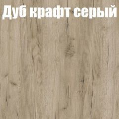 Шкаф-купе Бассо 1.0 (Дуб Крафт серый/Бетонный камень) 2 двери ЛДСП в Перми - perm.mebel24.online | фото 4