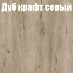 Шкаф-купе Бассо 1.0 (Дуб Крафт серый/Бетонный камень) 2 двери ЛДСП 1 зеркальная вставка в Перми - perm.mebel24.online | фото 4