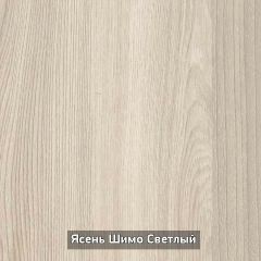 Шкаф купе без зеркала "Ольга 10.1" в Перми - perm.mebel24.online | фото 5