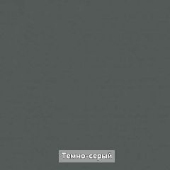 Шкаф купе без зеркала "Ольга-Лофт 10.1" в Перми - perm.mebel24.online | фото 7