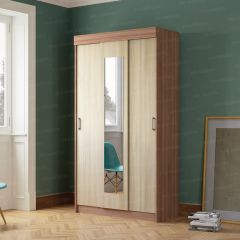 Шкаф-купе Эко (ЭРА) в Перми - perm.mebel24.online | фото 2