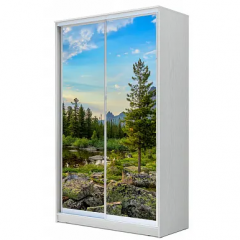 Шкаф-купе ХИТ 22-12-77 (620) в Перми - perm.mebel24.online | фото 6