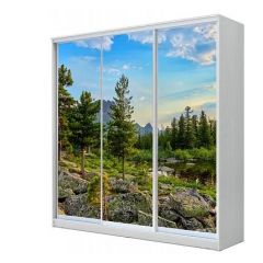 Шкаф-купе ХИТ 23-20/2-777 (620) в Перми - perm.mebel24.online | фото
