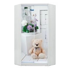 Шкаф-купе ХИТ-У-23-4-77 в Перми - perm.mebel24.online | фото