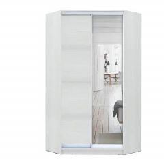 Шкаф-купе ХИТ-У-L-24-64-15 в Перми - perm.mebel24.online | фото