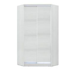 Шкаф-купе ХИТ-У-R-24-64-11 в Перми - perm.mebel24.online | фото