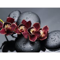 Стол обеденный Бостон Ст101.1 орхидеи в Перми - perm.mebel24.online | фото 3
