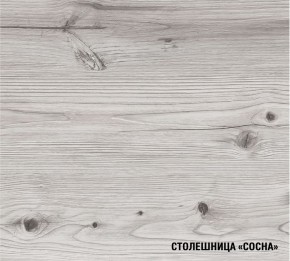 АСАЯ Кухонный гарнитур Экстра 2 (3000 мм) ПМ в Перми - perm.mebel24.online | фото 8