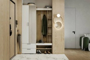 Гарнитур для прихожей Торонто в Перми - perm.mebel24.online | фото 5