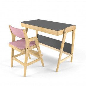 Комплект растущий стол и стул с чехлом 38 попугаев «Вуди» (Серый, Береза, Розовый) в Перми - perm.mebel24.online | фото