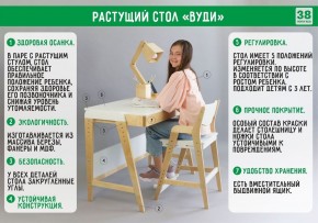 Комплект растущий стол и стул с чехлом 38 попугаев «Вуди» (Серый, Береза, Салют) в Перми - perm.mebel24.online | фото