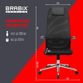 Кресло BRABIX PREMIUM "Ultimate EX-801" хром, плотная двойная сетка Х2, черное, 532917 в Перми - perm.mebel24.online | фото 7