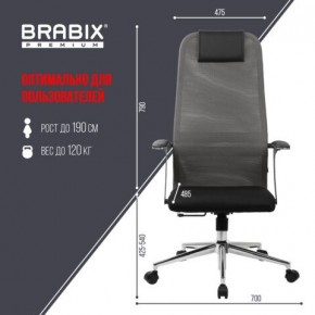 Кресло офисное BRABIX PREMIUM "Ultimate EX-801" хром, плотная двойная сетка Х2, черное/серое, 532918 в Перми - perm.mebel24.online | фото 5