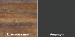 Кухонный гарнитур угловой Трансильвания 2400x1600 мм (Стол. 38 мм) в Перми - perm.mebel24.online | фото 3