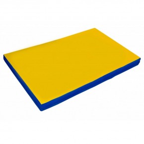 Мат гимнастический 2х1х0,05м цв. синий-желтый в Перми - perm.mebel24.online | фото 1