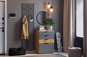 МЕБЕЛЬСОН К21 Прихожая в Перми - perm.mebel24.online | фото 2