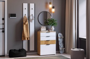 МЕБЕЛЬСОН К21 Прихожая (белое дерево) в Перми - perm.mebel24.online | фото