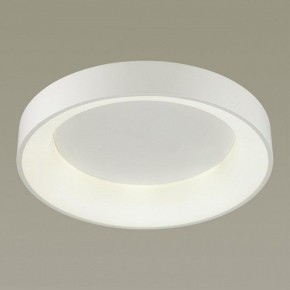 Накладной светильник Odeon Light Sole 4062/50CL в Перми - perm.mebel24.online | фото 2