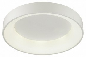 Накладной светильник Odeon Light Sole 4062/50CL в Перми - perm.mebel24.online | фото 3