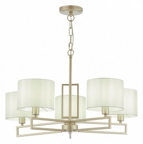 Подвесная люстра EVOLUCE Danae SLE105803-05 в Перми - perm.mebel24.online | фото 2