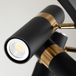 Подвесная люстра Favourite Light point 2997-9P в Перми - perm.mebel24.online | фото 5