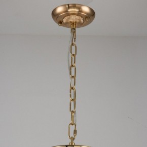 Подвесная люстра Favourite Rocca 2689-9P в Перми - perm.mebel24.online | фото 2