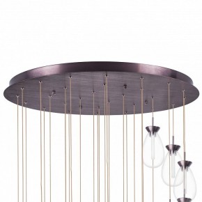 Подвесная люстра Lightstar Colore 805289 в Перми - perm.mebel24.online | фото 6