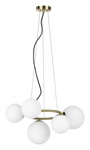 Подвесная люстра Lightstar Globo 815051 в Перми - perm.mebel24.online | фото 2