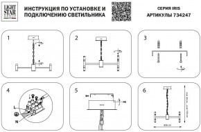 Подвесная люстра Lightstar Iris 734247 в Перми - perm.mebel24.online | фото 4