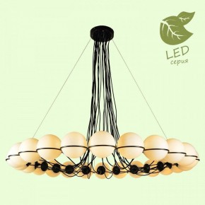Подвесная люстра Lussole Seneca GRLSP-8176 в Перми - perm.mebel24.online | фото 3