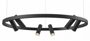Подвесная люстра Maytoni Halo MOD102PL-L42BK в Перми - perm.mebel24.online | фото