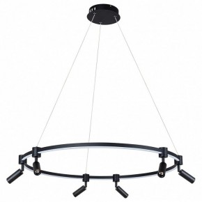 Подвесной светильник Arte Lamp Ring A2186SP-1BK в Перми - perm.mebel24.online | фото 2