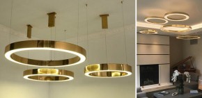 Подвесной светильник Imperiumloft Light Ring Horizontal 40.1454-100 в Перми - perm.mebel24.online | фото 2