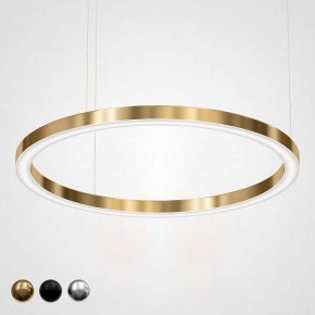 Подвесной светильник Imperiumloft Light Ring Horizontal 40.1454-120 в Перми - perm.mebel24.online | фото