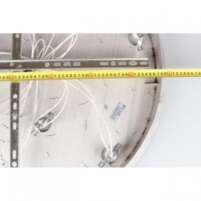 Потолочная люстра Aployt Teresa APL.855.06.10 в Перми - perm.mebel24.online | фото 16