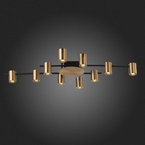 Потолочная люстра ST-Luce Veroli SL1207.402.10 в Перми - perm.mebel24.online | фото 6